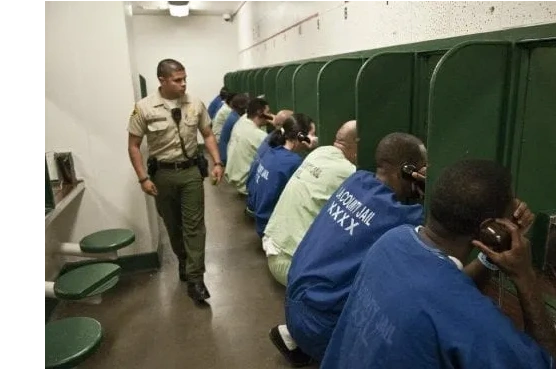 Inmate Custody Information